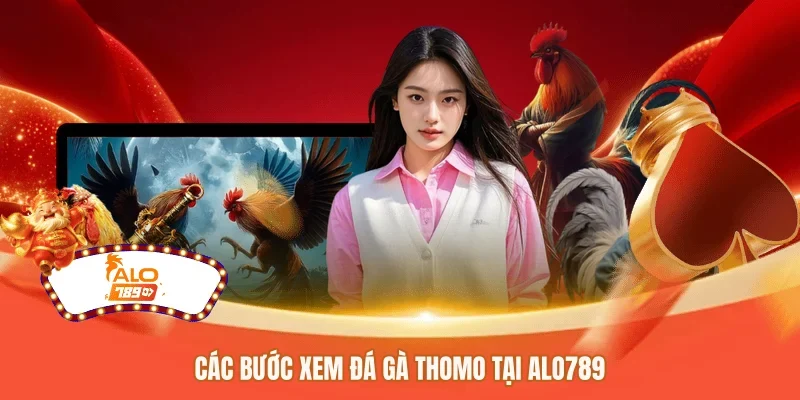 Các bước xem đá gà Thomo tại ALO789