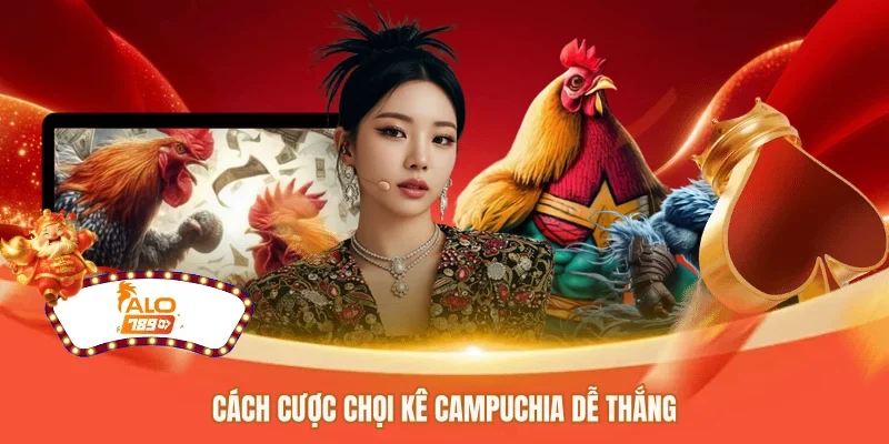 Cách cược chọi kê Campuchia dễ thắng 