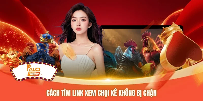 Cách tìm link xem chọi kê không bị chặn