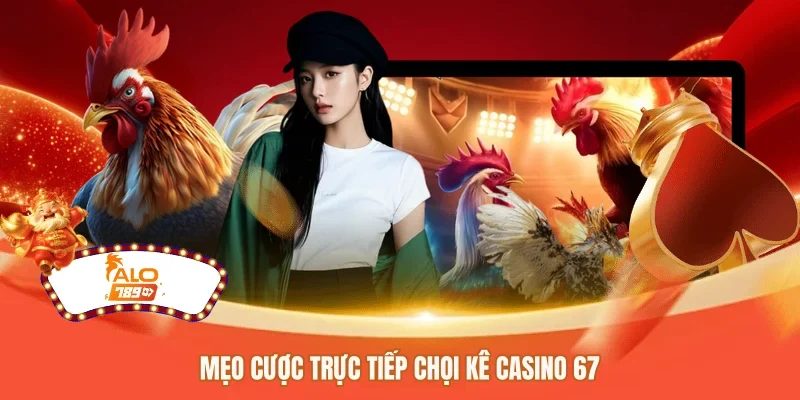Mẹo cược trực tiếp chọi kê casino 67 