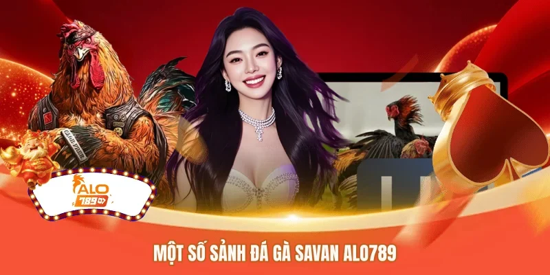 Một số sảnh đá gà savan ALO789 