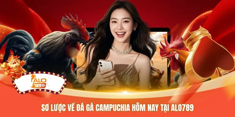 Sơ lược về đá gà Campuchia hôm nay tại ALO789 