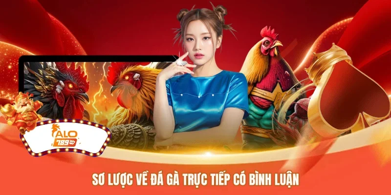 Sơ lược về đá gà trực tiếp có bình luận 