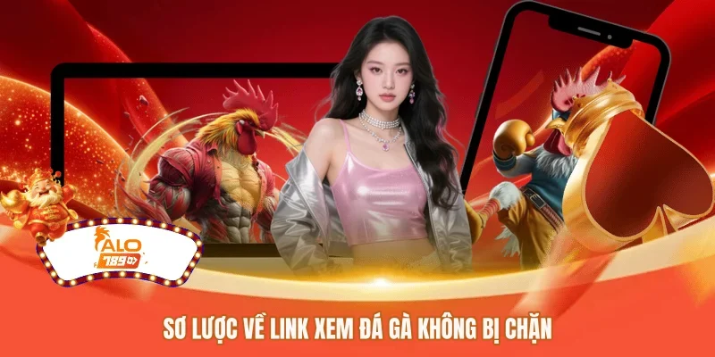 Sơ lược về link xem đá gà không bị chặn