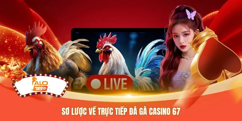 Sơ lược về trực tiếp đá gà casino 67 